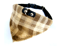 bitte darauf klicken